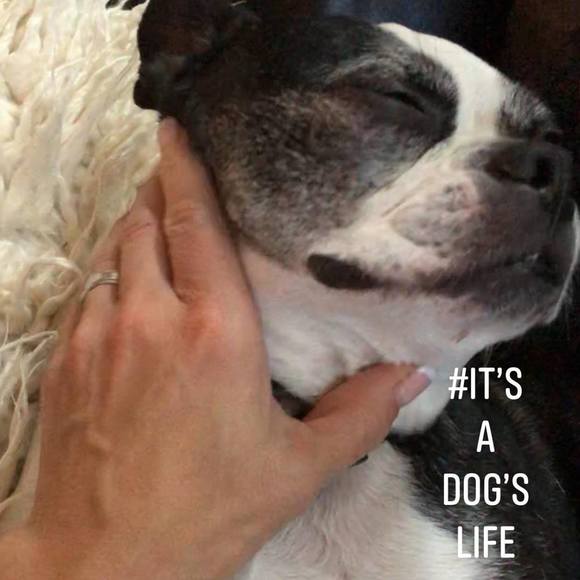 Meet your Posher, Shelley - Picture 1 of 1